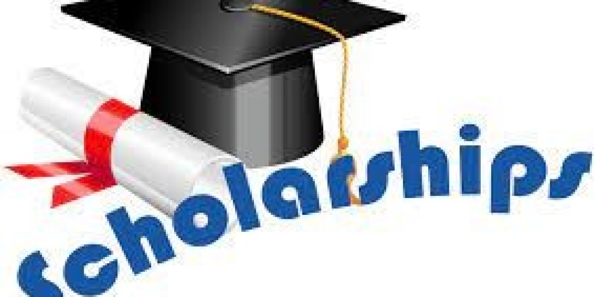 Scholarships for Economics Majors: Analyzing the World