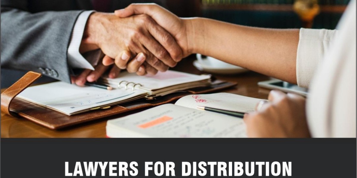 Appoint our Best Immigration Lawyer For Effortless and Quick Immigration Solutions
