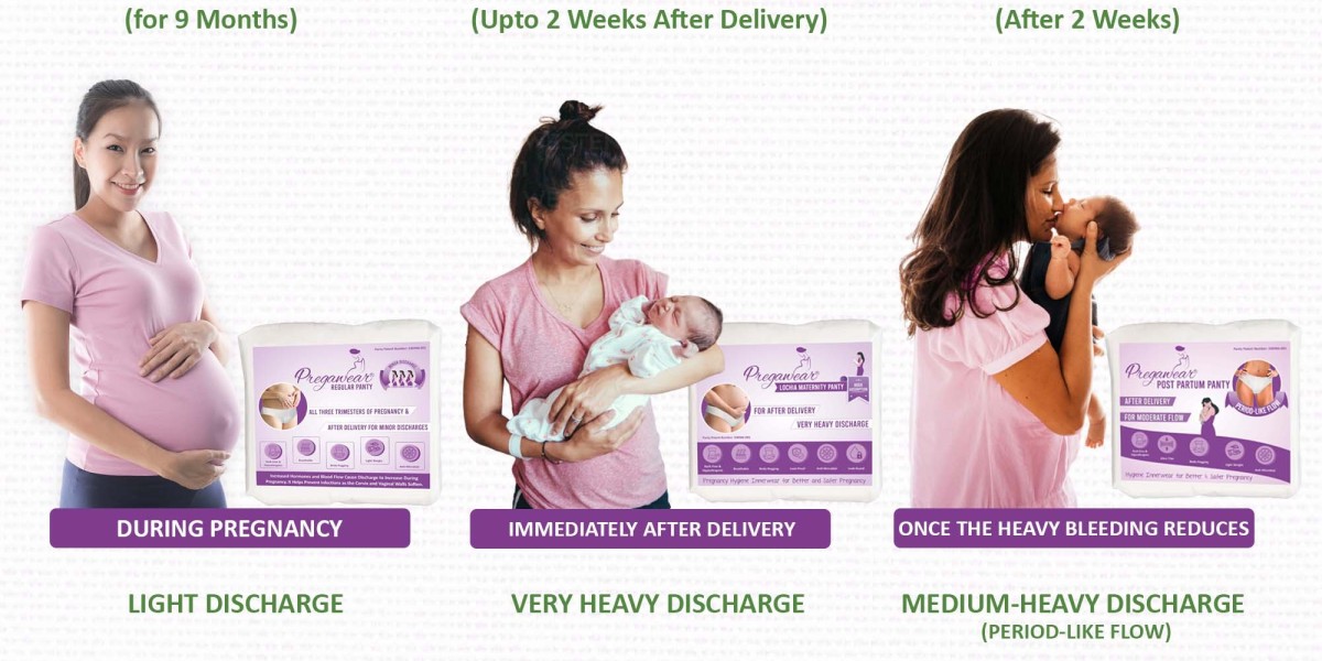 Pregawear Post Partum Heavy Discharge Disposable New Mom's Period Ready Panty, Pantyliner.