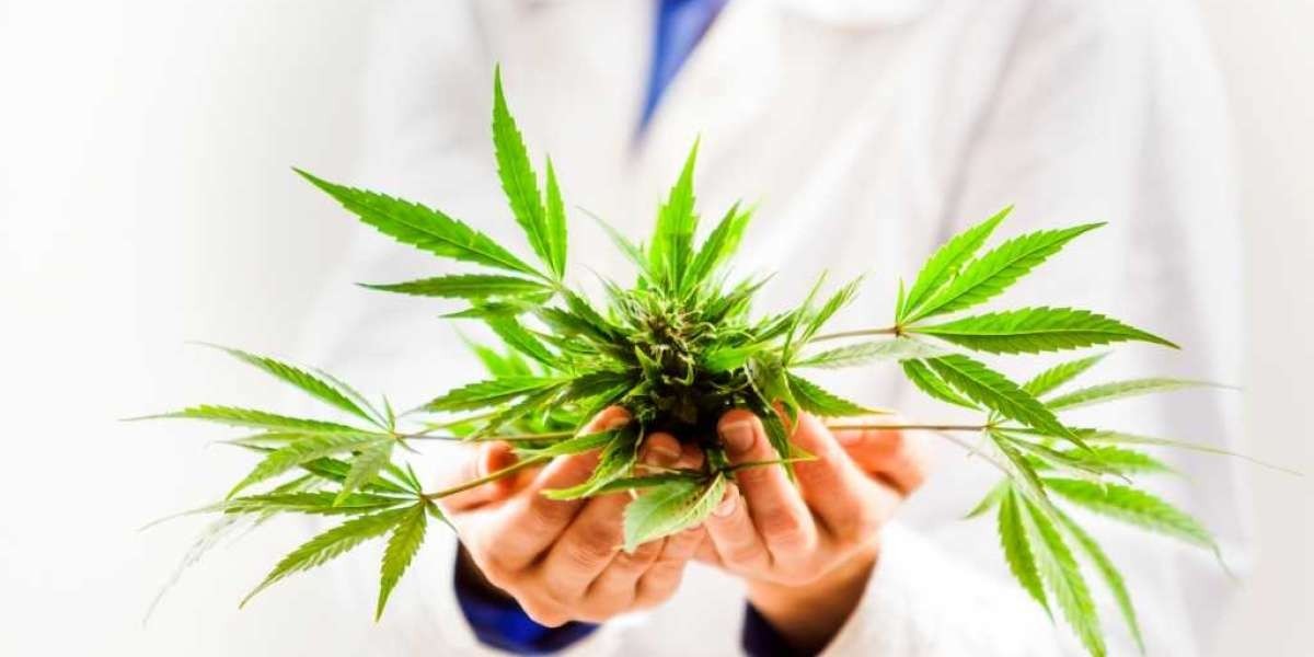 Budget-Friendly Rates: Medical Marijuana Card Costs