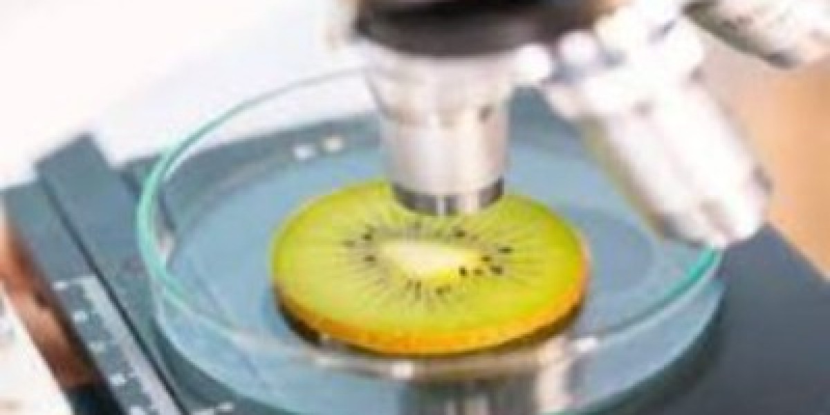Food Authenticity Testing Market Size $12.48 Billion by 2030