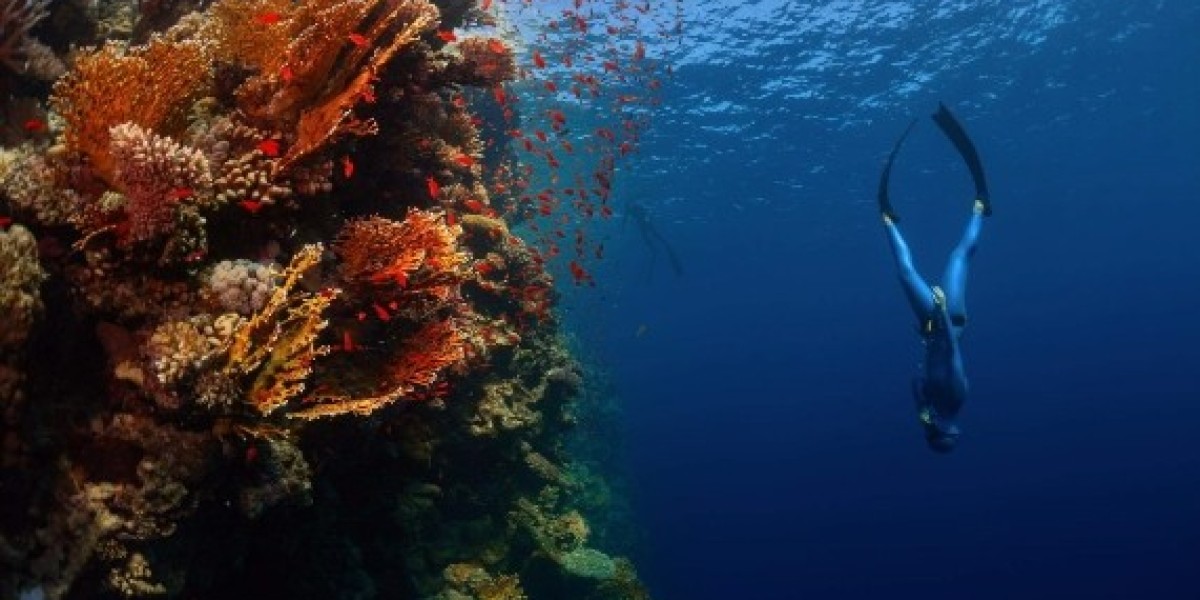 Freediving in Sharm El Sheikh