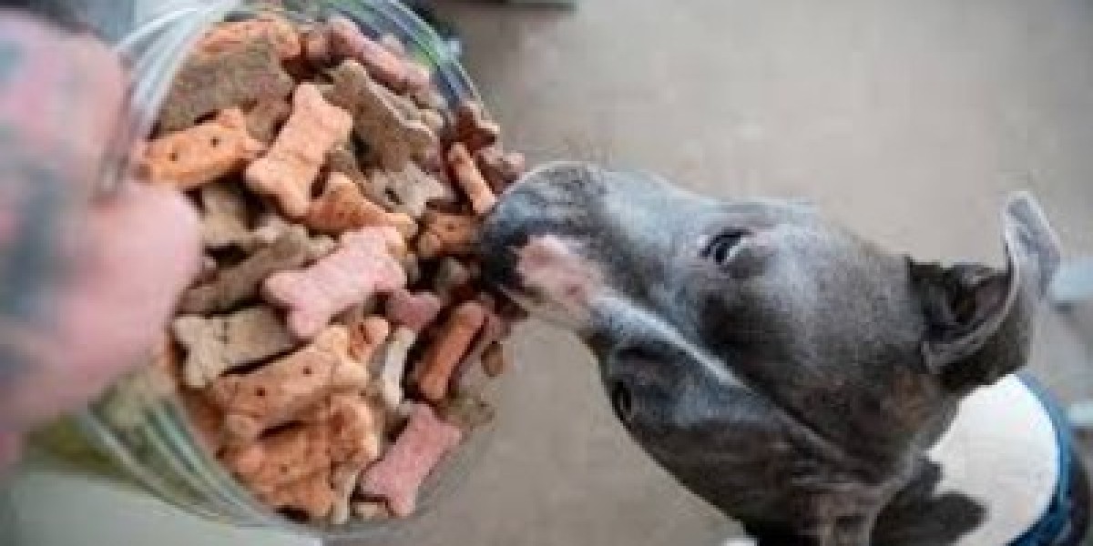Pet Dietary Supplements Market Size $2.17 Billion by 2030