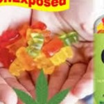 Wellness Peak CBD Gummies Reviews Profile Picture