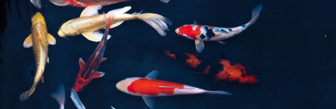 The Fish Works Cover Image
