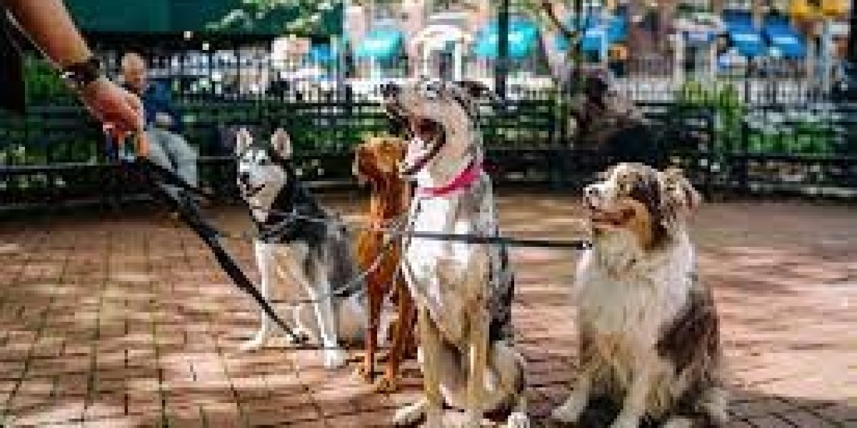 Sit Happens: Reliable Dog Sitters