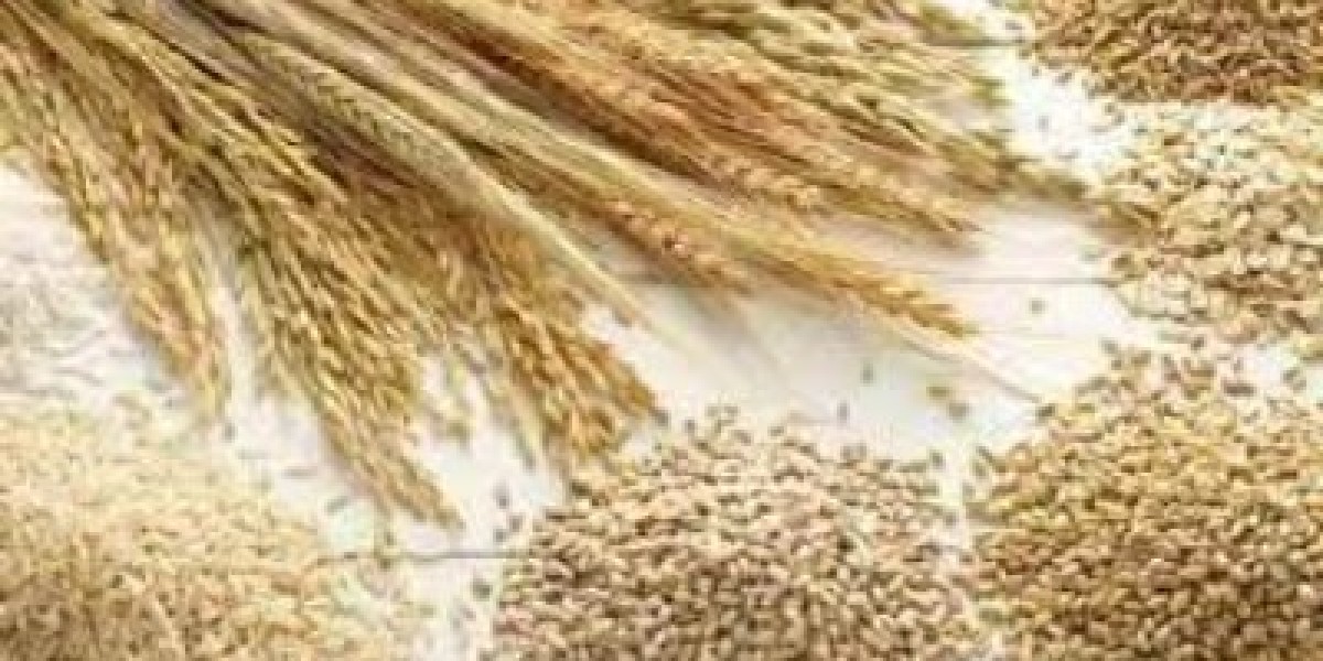 Oil, Fat and Cereals Market Size $300 Billion by 2030
