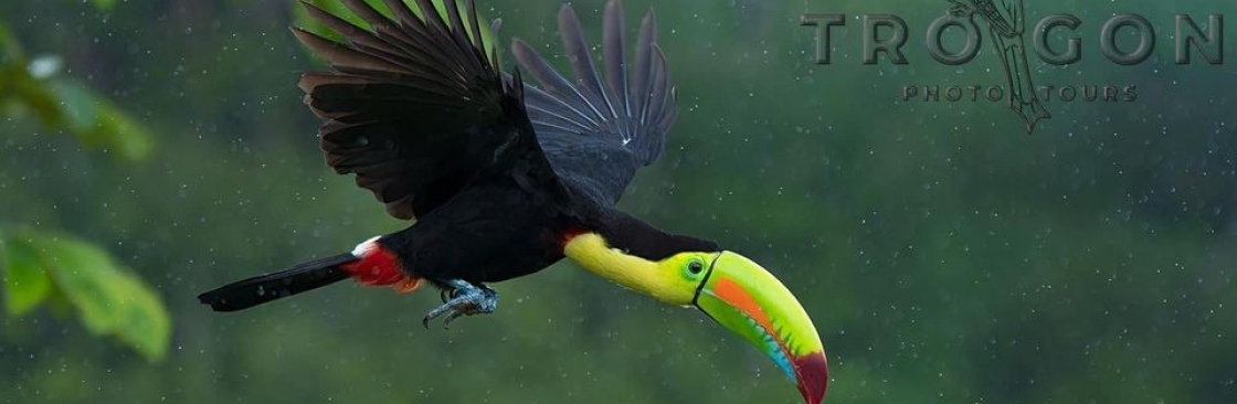 Nathan Chappell Cover Image