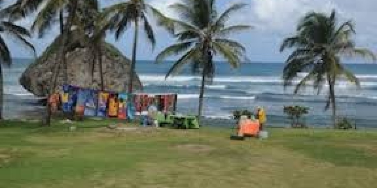 Thrilling Island Adventure: An Insider's Guide