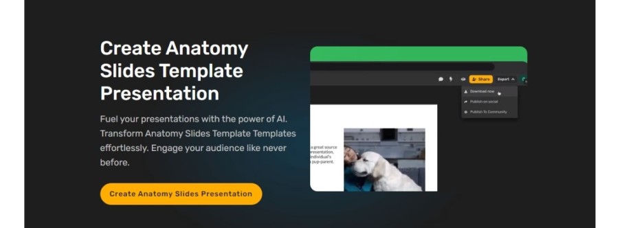 anatomy15 Cover Image