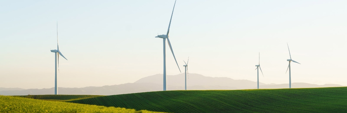 Brook Green Supply Cover Image
