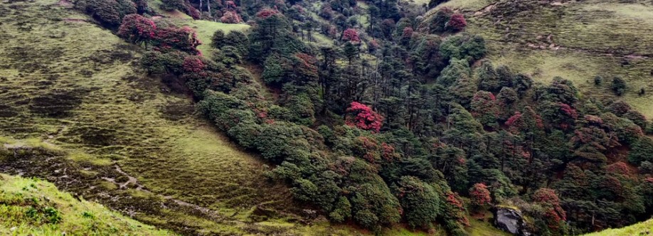 Heart Of Giants: Sandakphu Trek Cover Image