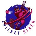 Cricket Sixer Profile Picture