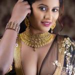 Jaipur Escort Profile Picture