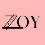 Loyzo Retails India Private Limited Profile Picture