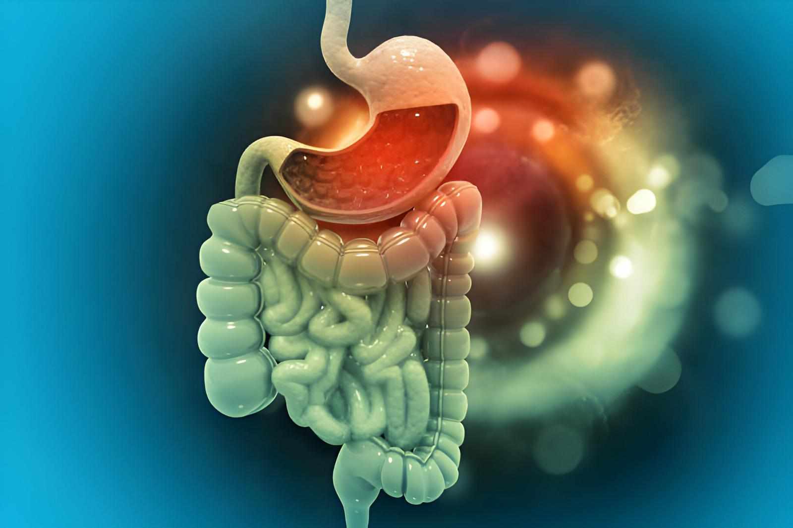 Exploring Digestive Health with Dr. Muftah, Gastroenterologist