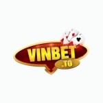 VIN BET Profile Picture