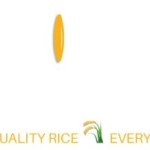 Basmatirice Export Profile Picture