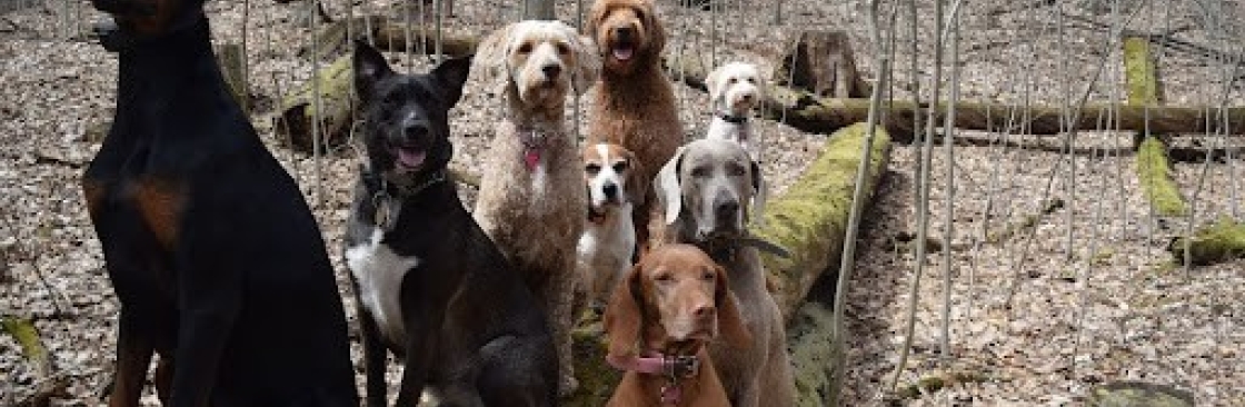 K9 Academy Cover Image
