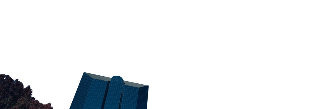 naglefirm Cover Image