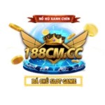 VN188 Trang Tải Game VN 188cm Chính Thức Profile Picture