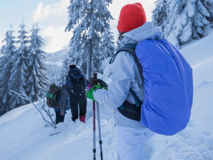 Manaslu Circuit Trek in Nepal: Ultimate Guide for Trekkers in 2024 | Vipon