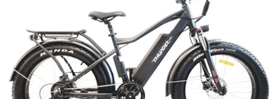 Richmonde bike Cover Image