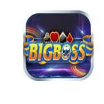 Bigboss Profile Picture