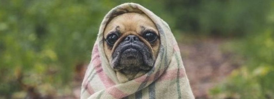 Trendy Pets Deals Cover Image