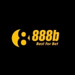 888 B Profile Picture