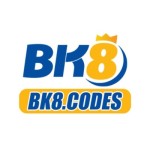bk8codes Profile Picture