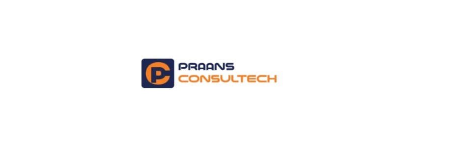 Prasna Consultech Private Limited Cover Image