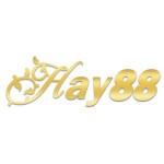 HAY 88 Profile Picture