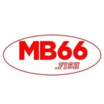 Mb66 fish Profile Picture