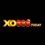 XO888 Casino Profile Picture