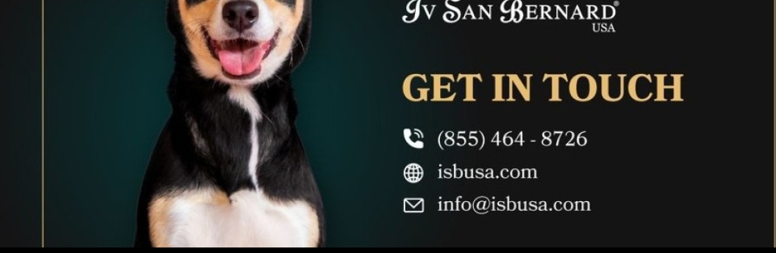 Iv San Bernard USA Cover Image