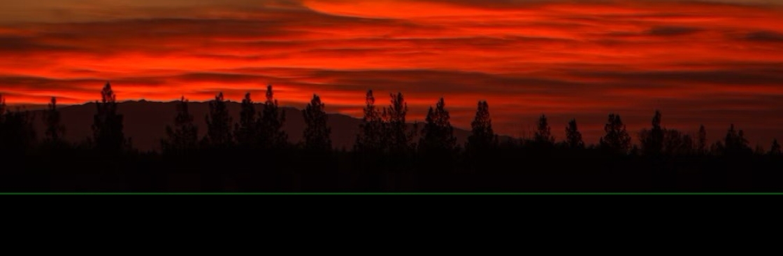 Kamini Jani Cover Image