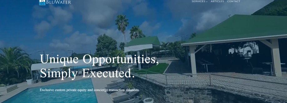 The BluWater Group Cover Image