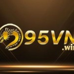 95vn work Profile Picture