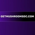 District Gas Light Profile Picture