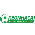 keonhacai agency Profile Picture
