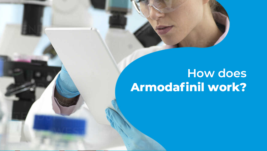 How does armodafinil work?