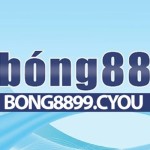 Bong88 cyou Profile Picture