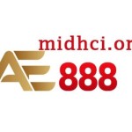 AE888 midhci Profile Picture