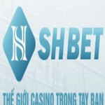 SHBET nhà cái SHBET88VN Profile Picture