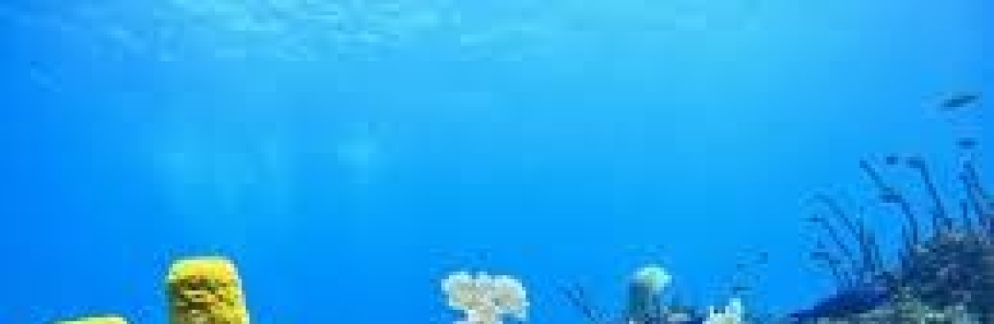 Grand Bay of The Sea Cover Image