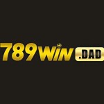 789windad Profile Picture
