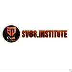sv88institute Profile Picture