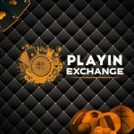playinexch1in Profile Picture