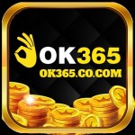 Ok365 co Profile Picture